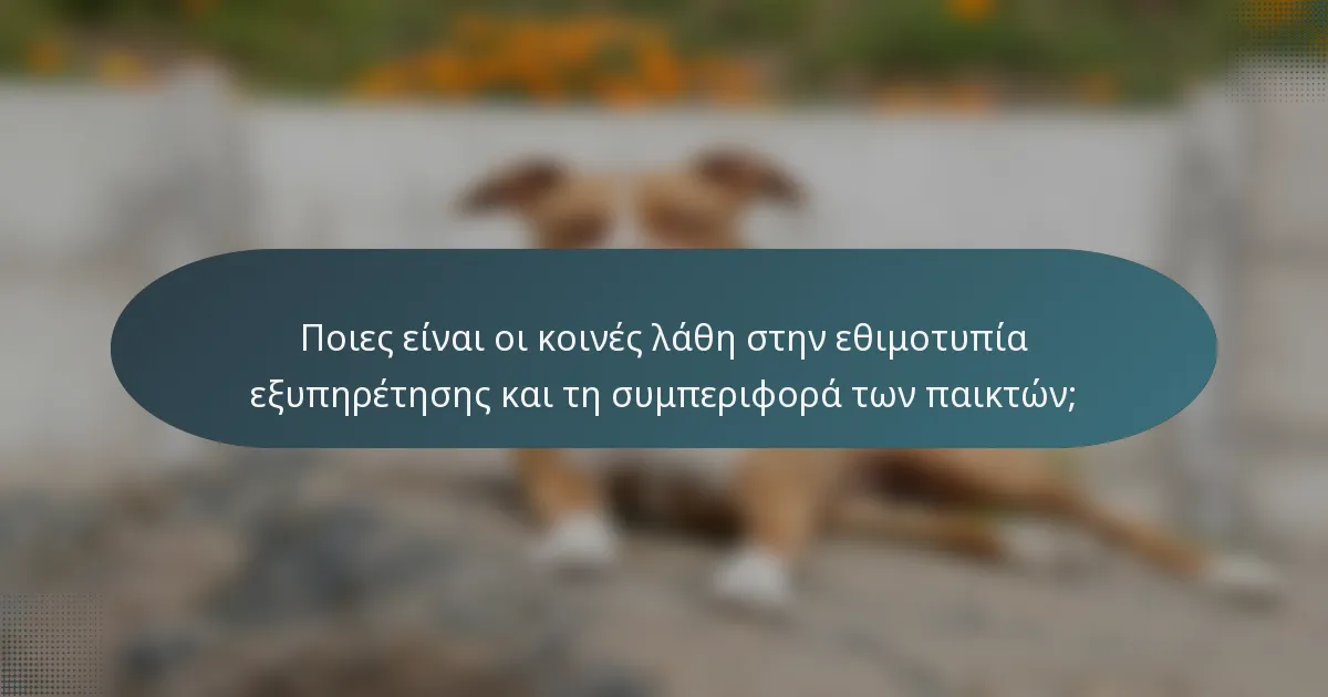 Ποιες είναι οι κοινές λάθη στην εθιμοτυπία εξυπηρέτησης και τη συμπεριφορά των παικτών;