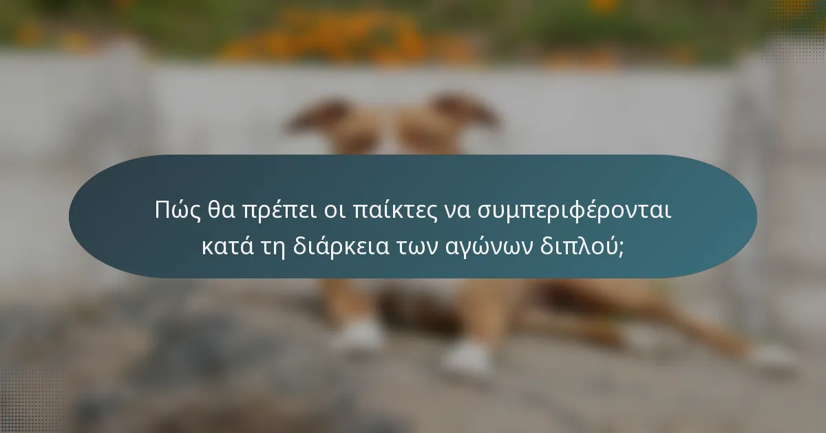 Πώς θα πρέπει οι παίκτες να συμπεριφέρονται κατά τη διάρκεια των αγώνων διπλού;