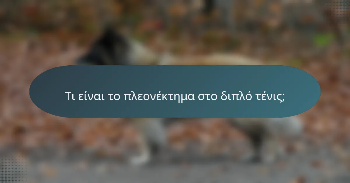 Τι είναι το πλεονέκτημα στο διπλό τένις;