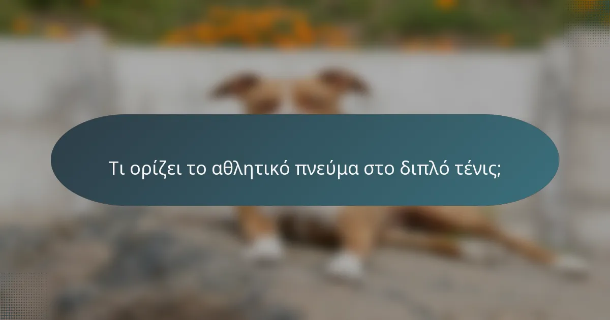 Τι ορίζει το αθλητικό πνεύμα στο διπλό τένις;
